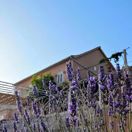 House With Private Pool Mokalo * אורביץ